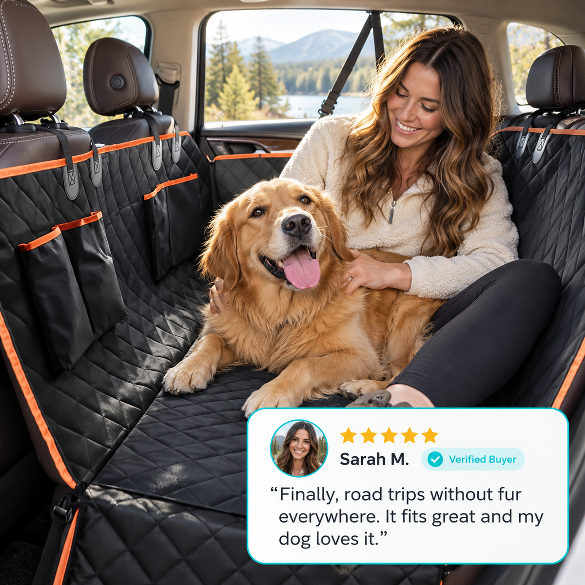 RoadGuard Backseat Extender