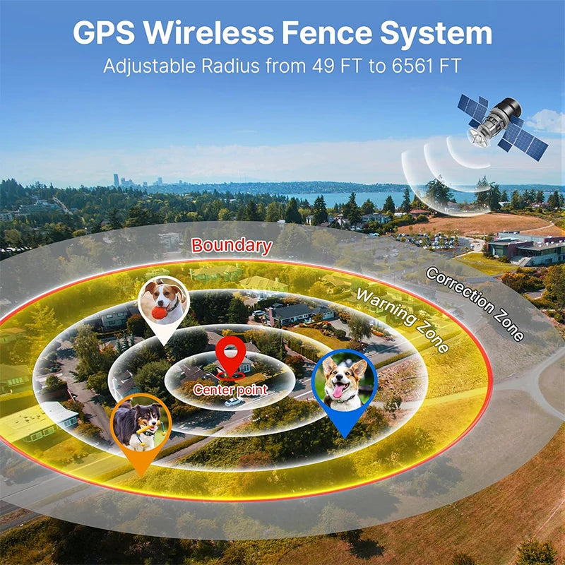 GeoGuard GPS Training Collar