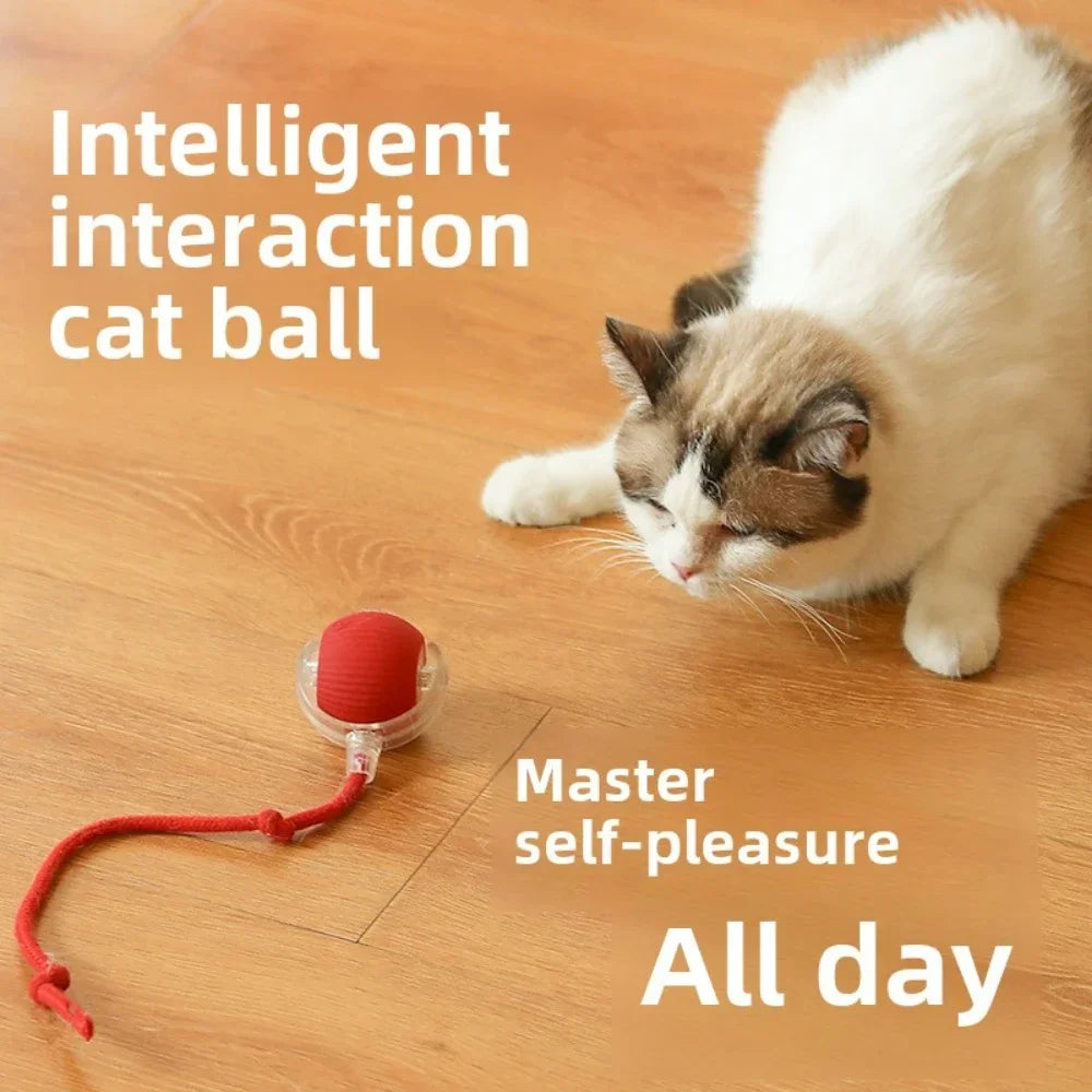 PounceRoll Interactive Pet Ball