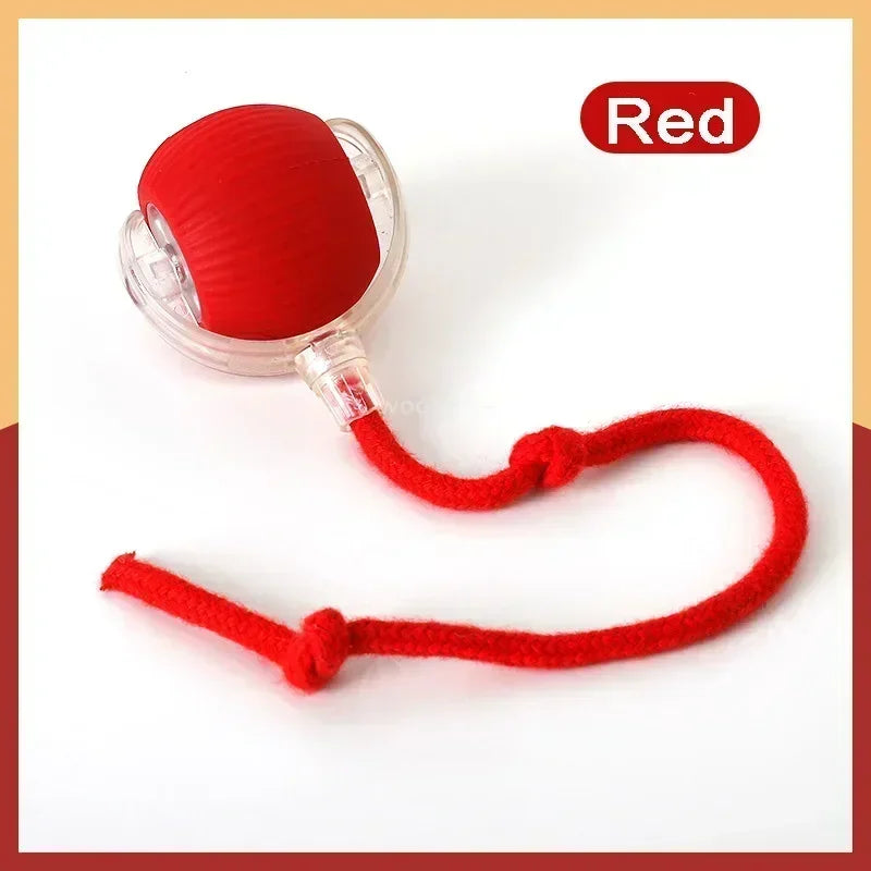 PounceRoll Interactive Pet Ball