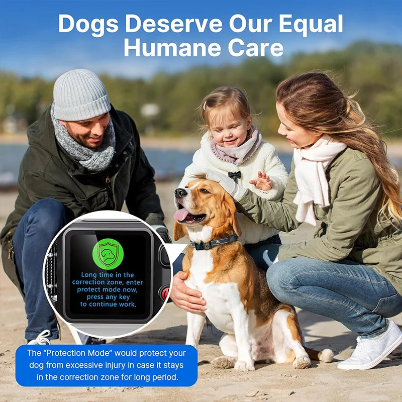 GeoGuard GPS Training Collar