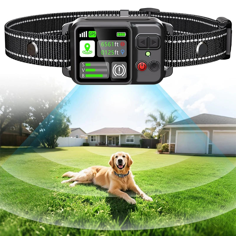 GeoGuard GPS Training Collar