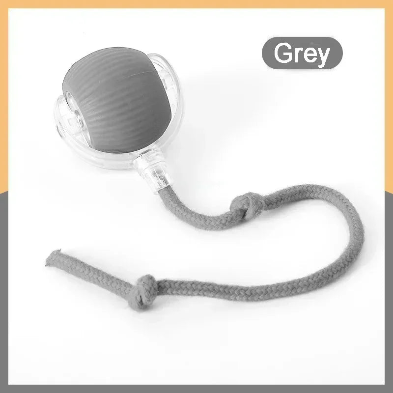 PounceRoll Interactive Pet Ball