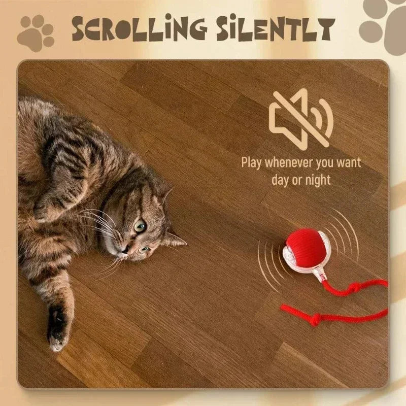 PounceRoll Interactive Pet Ball