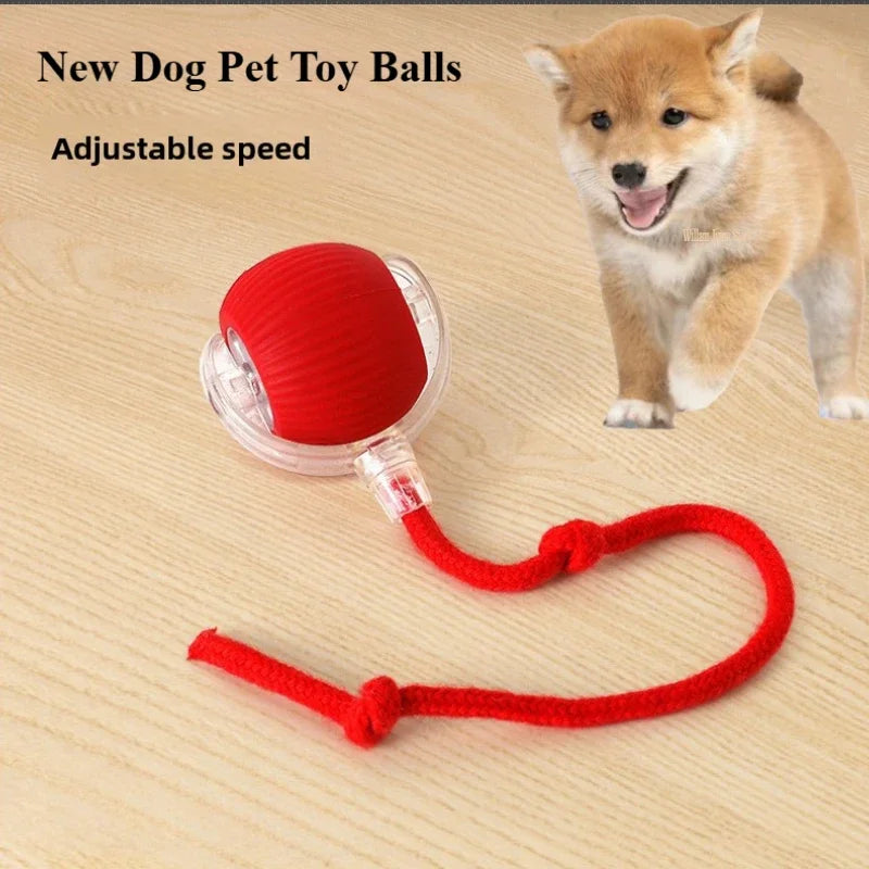 PounceRoll Interactive Pet Ball