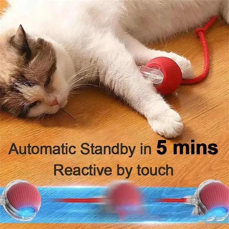 PounceRoll Interactive Pet Ball