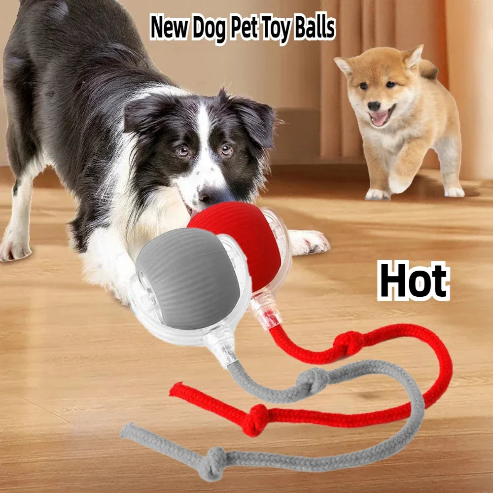 PounceRoll Interactive Pet Ball