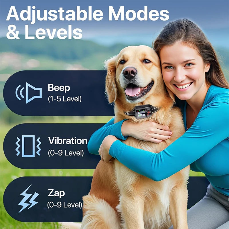 GeoGuard GPS Training Collar