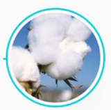 High-Density PP Cotton
