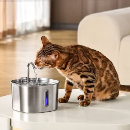 FreshSpring Pet Hydration Station
